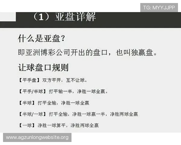 解析AG盘口网站的安全性与信誉，为你的投注护航